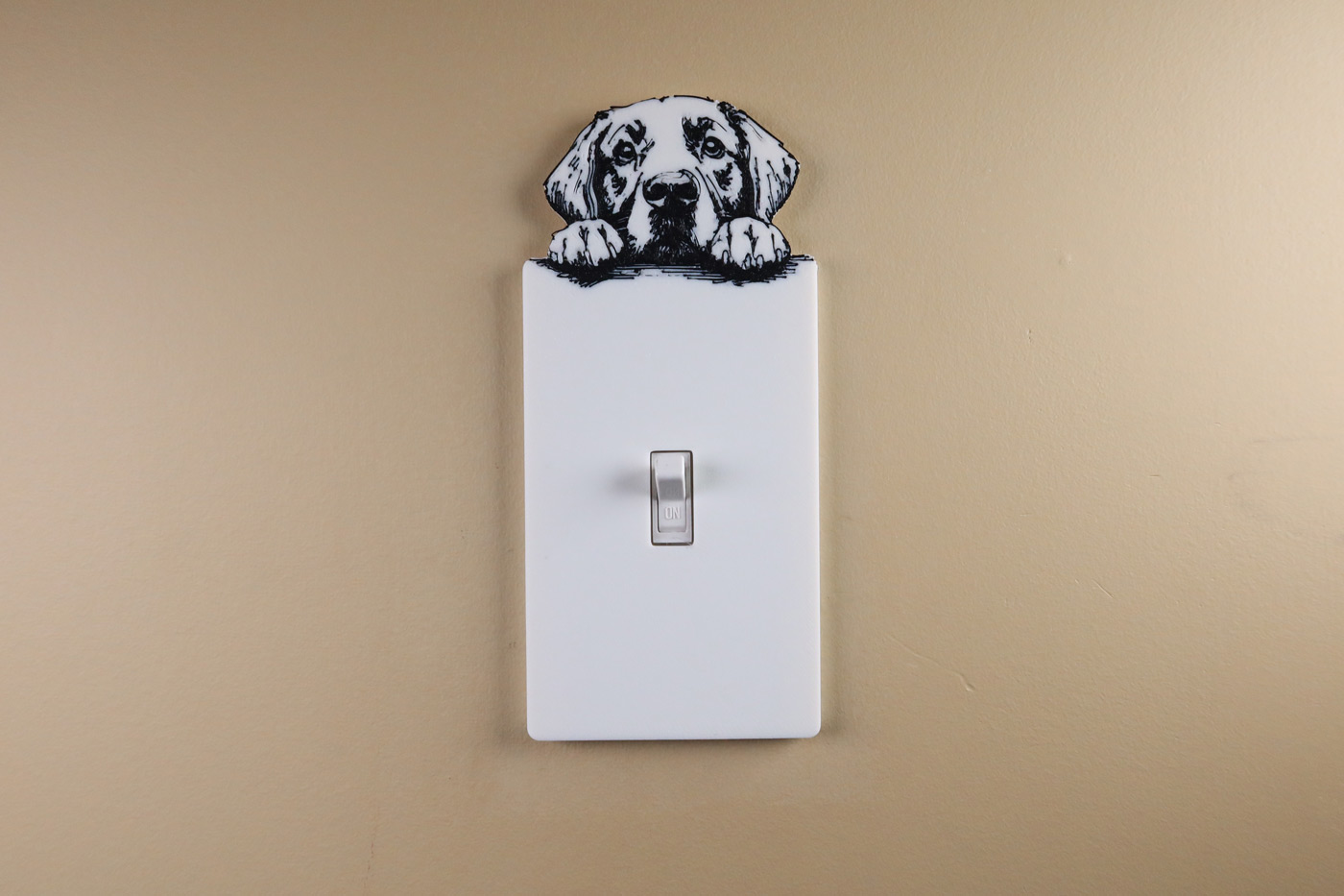 switch-1-dog-labrador